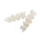 Potato Spirals (Small, Large)